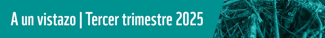 3_Trimestre_Boletin-03