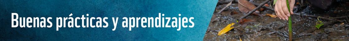 Boletin_1tri_2026-05