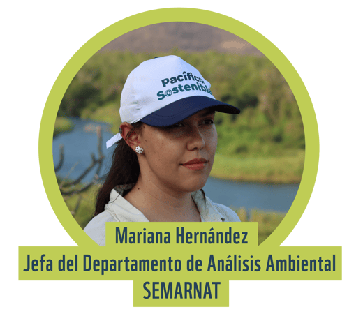 Mariana Hernandez_Mesa de trabajo 1 copia 11