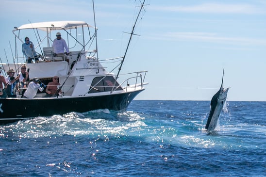 PESCA-DEPORTIVA-1