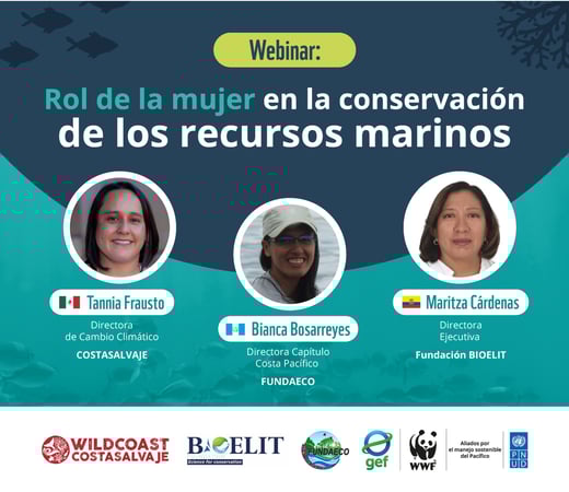 Webinar-correo-grabacion