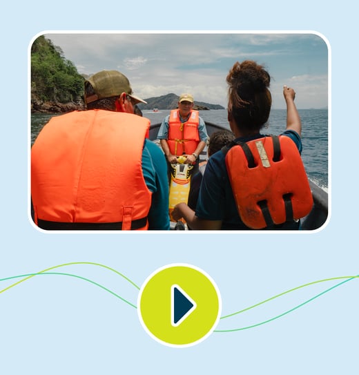 boletin cetaceos video