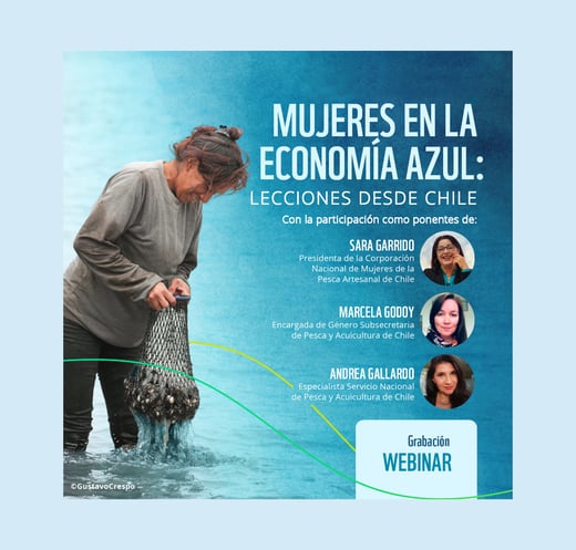 grabacionwebinar5