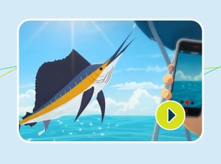 Video pesca deportiva