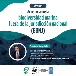 webinar_pe
